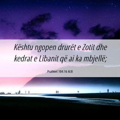 Picture 06 - Psalmet 104:16 ALB - Kështu ngopen drurët e Zotit dhe kedrat e - Bible Verse Picture