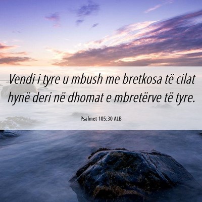 Picture 06 - Psalmet 105:30 ALB - Vendi i tyre u mbush me bretkosa të cilat hynë - Bible Verse Picture