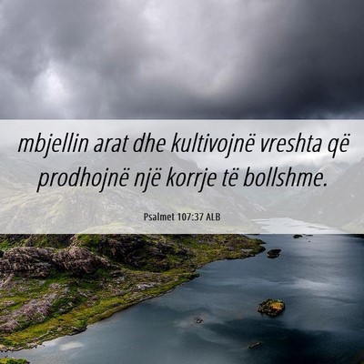 Picture 06 - Psalmet 107:37 ALB - mbjellin arat dhe kultivojnë vreshta që - Bible Verse Picture