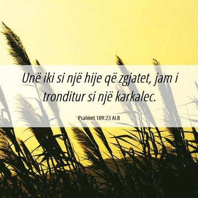 Picture 06 - Psalmet 109:23 ALB - Unë iki si një hije që zgjatet, jam i - Bible Verse Picture