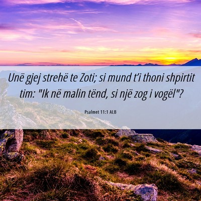 Picture 06 - Psalmet 11:1 ALB - Unë gjej strehë te Zoti; si mund t’i thoni - Bible Verse Picture