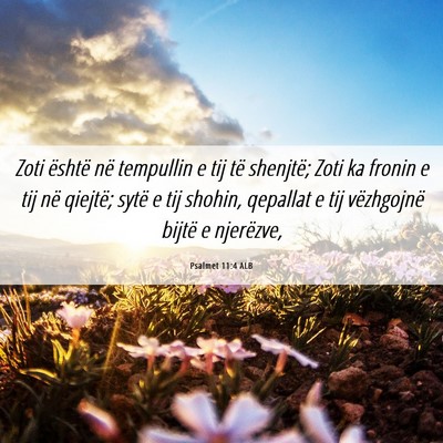 Picture 06 - Psalmet 11:4 ALB - Zoti është në tempullin e tij të shenjtë; - Bible Verse Picture