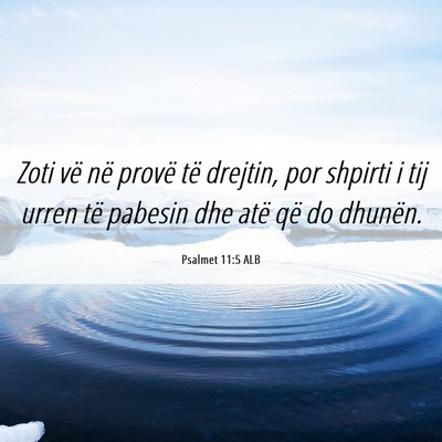 Picture 06 - Psalmet 11:5 ALB - Zoti vë në provë të drejtin, por shpirti i - Bible Verse Picture