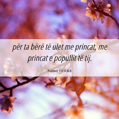 Picture 06 - Psalmet 113:8 ALB - për ta bërë të ulet me princat, me princat e - Bible Verse Picture