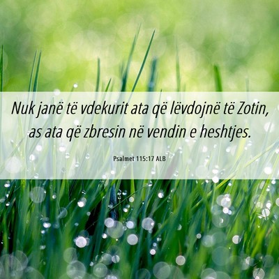 Picture 06 - Psalmet 115:17 ALB - Nuk janë të vdekurit ata që lëvdojnë të - Bible Verse Picture