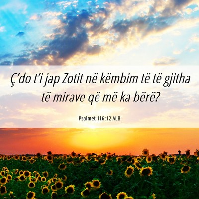 Picture 06 - Psalmet 116:12 ALB - Ç’do t’i jap Zotit në këmbim të të - Bible Verse Picture