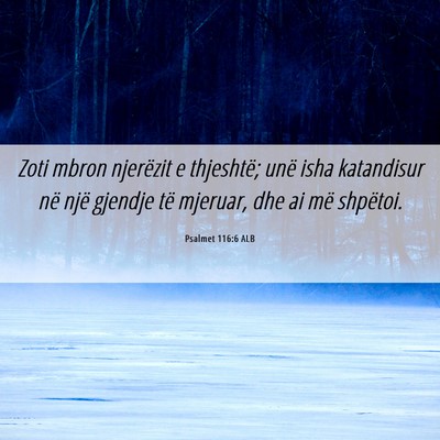 Picture 06 - Psalmet 116:6 ALB - Zoti mbron njerëzit e thjeshtë; unë isha - Bible Verse Picture