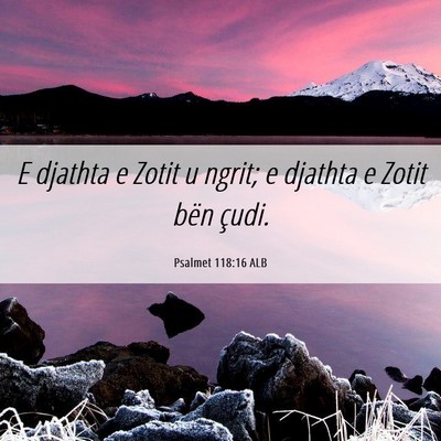 Picture 06 - Psalmet 118:16 ALB - E djathta e Zotit u ngrit; e djathta e Zotit bën - Bible Verse Picture