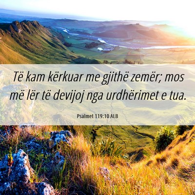 Picture 06 - Psalmet 119:10 ALB - Të kam kërkuar me gjithë zemër; mos më lër - Bible Verse Picture