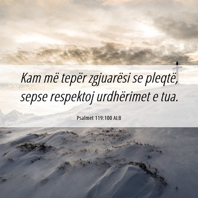 Picture 06 - Psalmet 119:100 ALB - Kam më tepër zgjuarësi se pleqtë, sepse - Bible Verse Picture