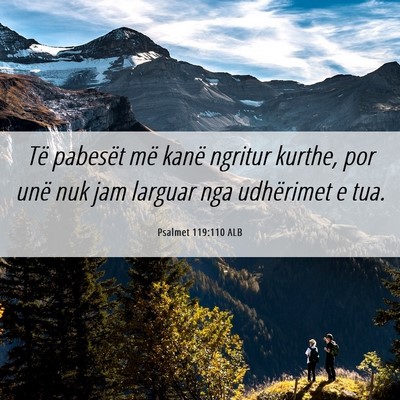 Picture 06 - Psalmet 119:110 ALB - Të pabesët më kanë ngritur kurthe, por unë - Bible Verse Picture