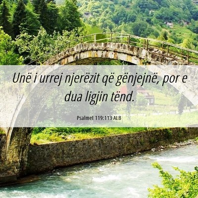 Picture 06 - Psalmet 119:113 ALB - Unë i urrej njerëzit që gënjejnë, por e dua - Bible Verse Picture