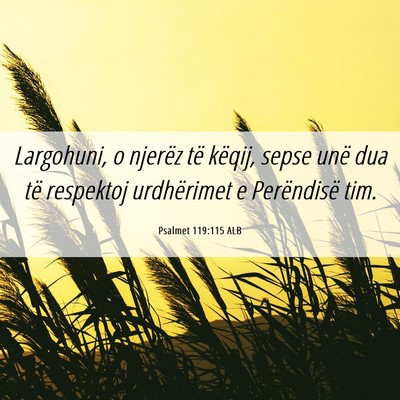 Picture 06 - Psalmet 119:115 ALB - Largohuni, o njerëz të këqij, sepse unë dua - Bible Verse Picture