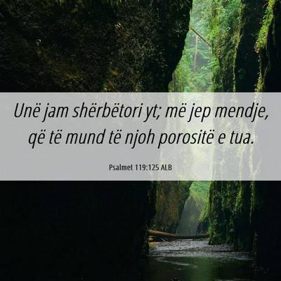 Picture 06 - Psalmet 119:125 ALB - Unë jam shërbëtori yt; më jep mendje, që të - Bible Verse Picture