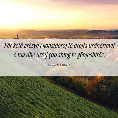 Picture 06 - Psalmet 119:128 ALB - Për këtë arësye i konsideroj të drejta - Bible Verse Picture