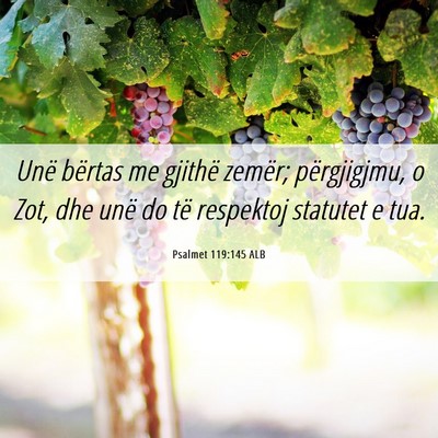 Picture 06 - Psalmet 119:145 ALB - Unë bërtas me gjithë zemër; përgjigjmu, o - Bible Verse Picture