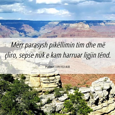 Picture 06 - Psalmet 119:153 ALB - Merr parasysh pikëllimin tim dhe më çliro, - Bible Verse Picture
