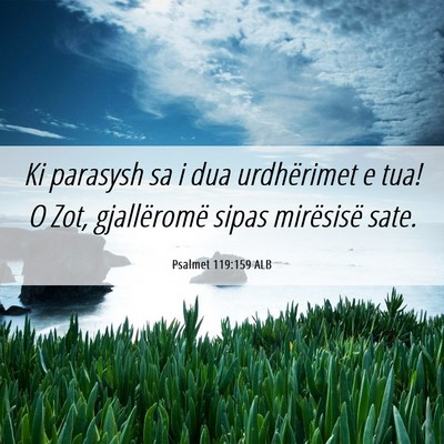 Picture 06 - Psalmet 119:159 ALB - Ki parasysh sa i dua urdhërimet e tua! O Zot, - Bible Verse Picture