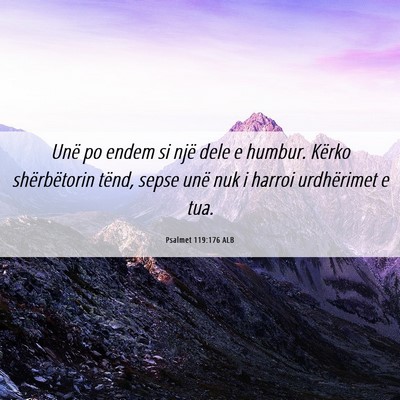 Picture 06 - Psalmet 119:176 ALB - Unë po endem si një dele e humbur. Kërko - Bible Verse Picture