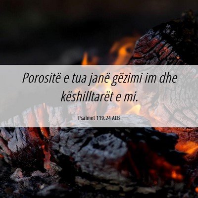 Picture 06 - Psalmet 119:24 ALB - Porositë e tua janë gëzimi im dhe - Bible Verse Picture