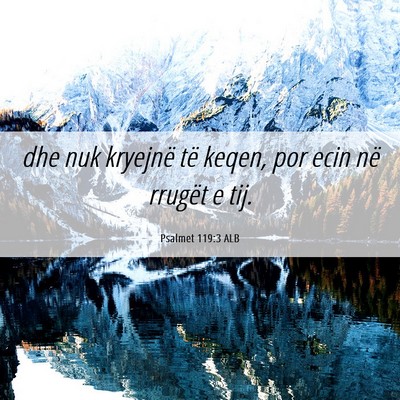 Picture 06 - Psalmet 119:3 ALB - dhe nuk kryejnë të keqen, por ecin në rrugët - Bible Verse Picture