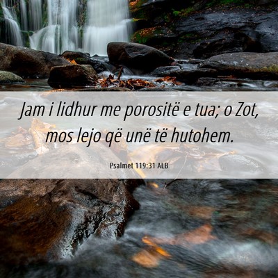 Picture 06 - Psalmet 119:31 ALB - Jam i lidhur me porositë e tua; o Zot, mos lejo - Bible Verse Picture