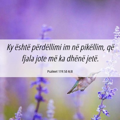 Picture 06 - Psalmet 119:50 ALB - Ky është përdëllimi im në pikëllim, që - Bible Verse Picture