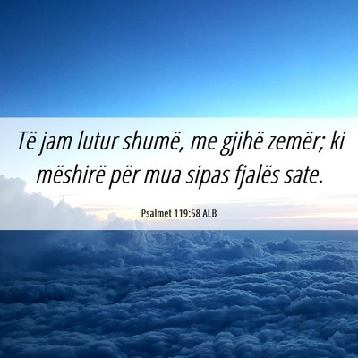 Picture 06 - Psalmet 119:58 ALB - Të jam lutur shumë, me gjihë zemër; ki - Bible Verse Picture