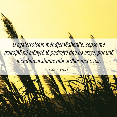 Picture 06 - Psalmet 119:78 ALB - U ngatërrofshin mëndjemëdhenjtë, sepse më - Bible Verse Picture