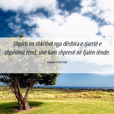 Picture 06 - Psalmet 119:81 ALB - Shpirti im shkrihet nga dëshira e zjarrtë e - Bible Verse Picture