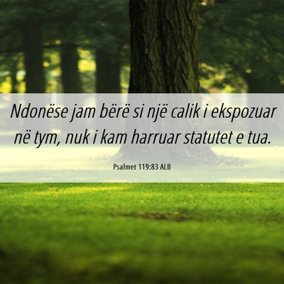 Picture 06 - Psalmet 119:83 ALB - Ndonëse jam bërë si një calik i ekspozuar në - Bible Verse Picture