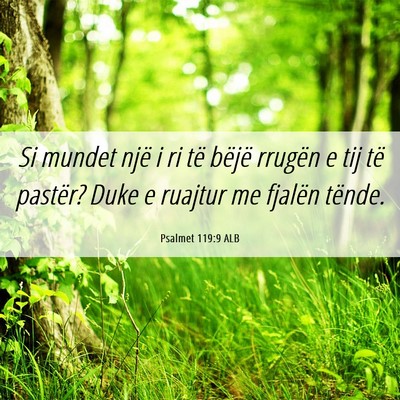 Picture 06 - Psalmet 119:9 ALB - Si mundet një i ri të bëjë rrugën e tij të - Bible Verse Picture