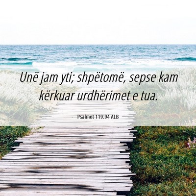 Picture 06 - Psalmet 119:94 ALB - Unë jam yti; shpëtomë, sepse kam kërkuar - Bible Verse Picture
