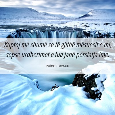 Picture 06 - Psalmet 119:99 ALB - Kuptoj më shumë se të gjithë mësuesit e mi, - Bible Verse Picture