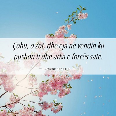 Picture 06 - Psalmet 132:8 ALB - Çohu, o Zot, dhe eja në vendin ku pushon ti dhe - Bible Verse Picture