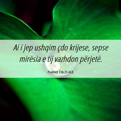 Picture 06 - Psalmet 136:25 ALB - Ai i jep ushqim çdo krijese, sepse mirësia e - Bible Verse Picture