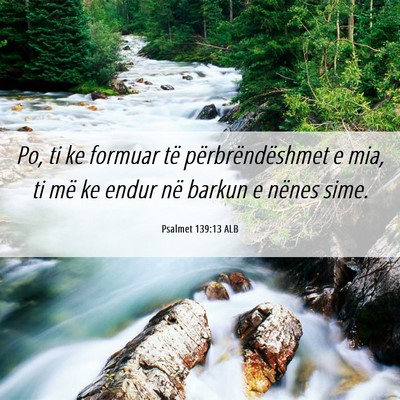 Picture 06 - Psalmet 139:13 ALB - Po, ti ke formuar të përbrëndëshmet e mia, ti - Bible Verse Picture