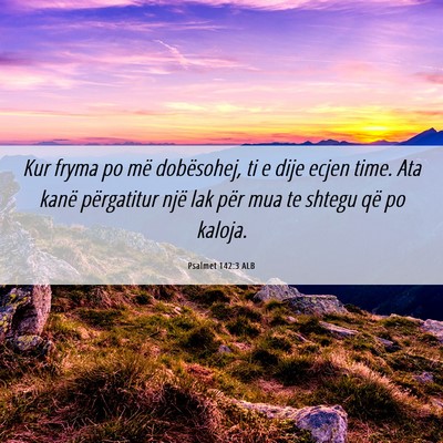 Picture 06 - Psalmet 142:3 ALB - Kur fryma po më dobësohej, ti e dije ecjen - Bible Verse Picture
