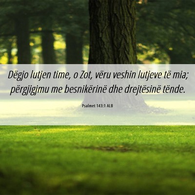 Picture 06 - Psalmet 143:1 ALB - Dëgjo lutjen time, o Zot, vëru veshin lutjeve - Bible Verse Picture