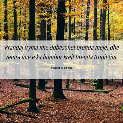 Picture 06 - Psalmet 143:4 ALB - Prandaj fryma ime dobësohet brenda meje, dhe - Bible Verse Picture