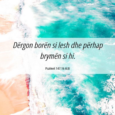 Picture 06 - Psalmet 147:16 ALB - Dërgon borën si lesh dhe përhap brymën si - Bible Verse Picture