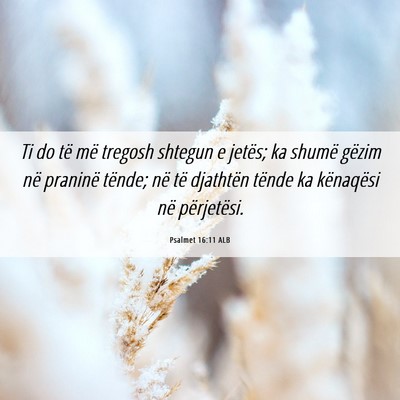 Picture 06 - Psalmet 16:11 ALB - Ti do të më tregosh shtegun e jetës; ka shumë - Bible Verse Picture