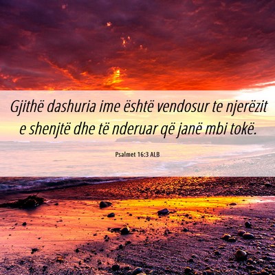 Picture 06 - Psalmet 16:3 ALB - Gjithë dashuria ime është vendosur te - Bible Verse Picture