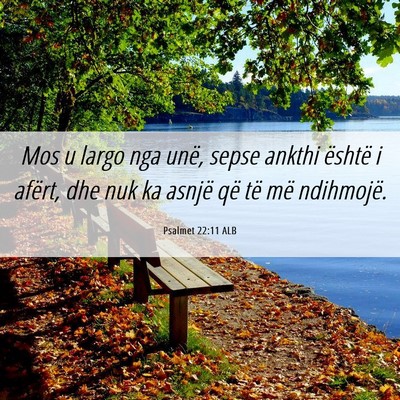 Picture 06 - Psalmet 22:11 ALB - Mos u largo nga unë, sepse ankthi është i - Bible Verse Picture