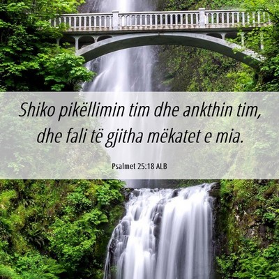 Picture 06 - Psalmet 25:18 ALB - Shiko pikëllimin tim dhe ankthin tim, dhe fali - Bible Verse Picture
