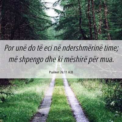 Picture 06 - Psalmet 26:11 ALB - Por unë do të eci në ndershmërinë time; më - Bible Verse Picture
