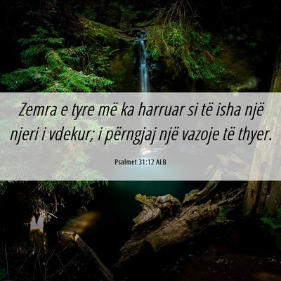 Picture 06 - Psalmet 31:12 ALB - Zemra e tyre më ka harruar si të isha një - Bible Verse Picture