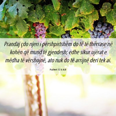 Picture 06 - Psalmet 32:6 ALB - Prandaj çdo njeri i përshpirtshëm do të të - Bible Verse Picture