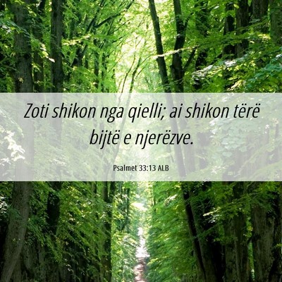 Picture 06 - Psalmet 33:13 ALB - Zoti shikon nga qielli; ai shikon tërë bijtë e - Bible Verse Picture