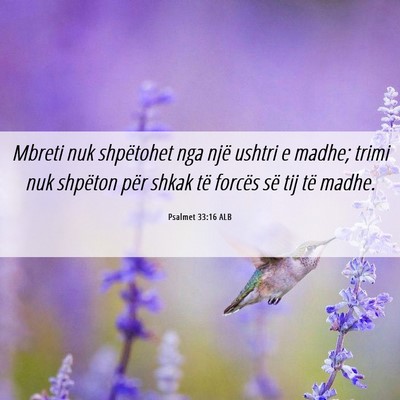 Picture 06 - Psalmet 33:16 ALB - Mbreti nuk shpëtohet nga një ushtri e madhe; - Bible Verse Picture